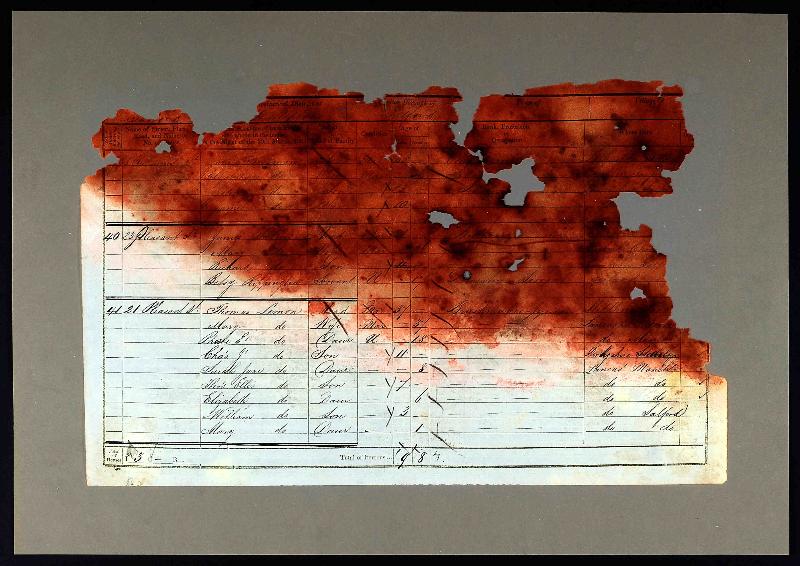 Rippington (Betsy) 1851 Census